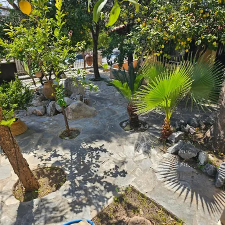 Apartment Amfitrion